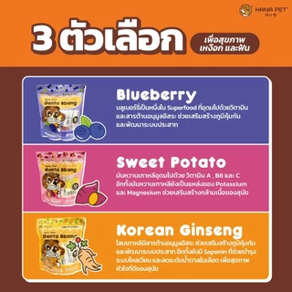 Hana Pet ขนมขัดฟันสุนัข Denta Bbang แทะสนุก ช่วยให้เหงือกและฟันแข็งแรง แทะได้นาน ช่วยลดกลิ่นปาก