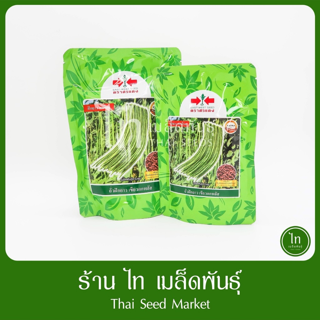 เขียวดกพลัส ถั่วฝักยาว ทนทานไวรัส เมล็ดพันธุ์ ถั่ว ดก ฝักคู่เยอะ ตราศรแดง บรรจุ 500 / 100 กรัม