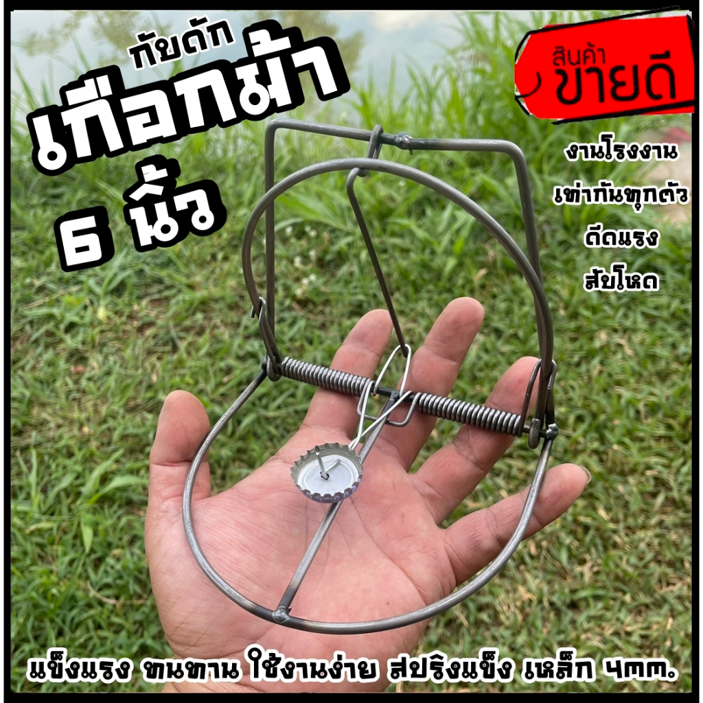 กับเกือกม้า 6นิ้ว ดักหนู ดักสตว์ 1 มัดมี 5 ตัว