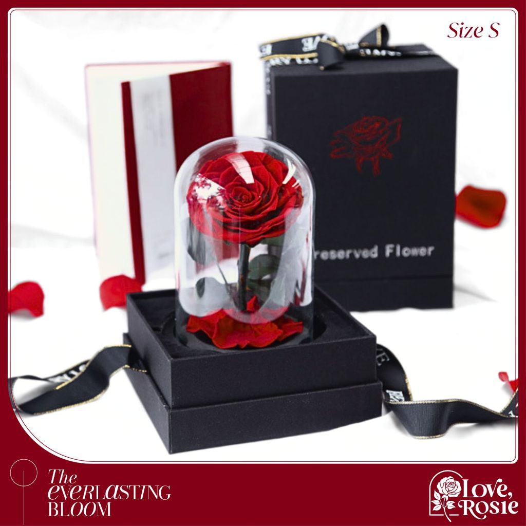 Love, Rosie กุหลาบในโหลแก้ว Size S สูง 17 cm Preserved Rose ของขวัญวาเลนไทน์ ดอกกุหลาบ