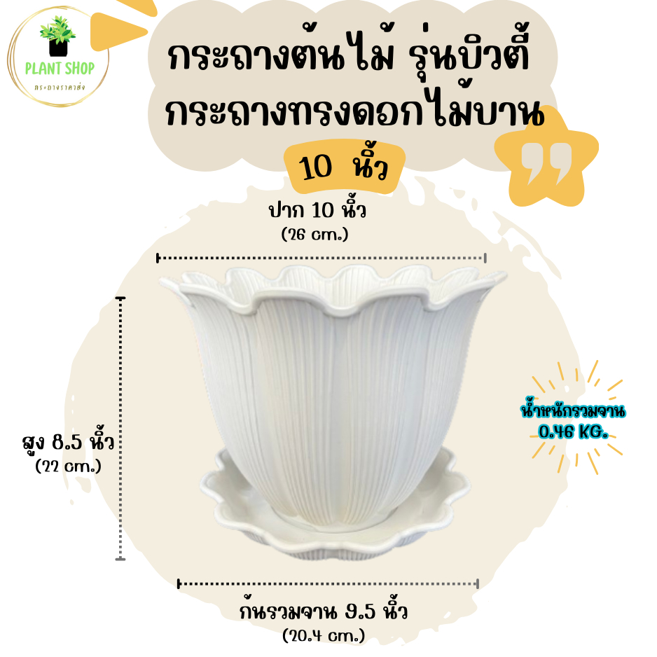กระถางต้นไม้ รุ่นบิวตี้ กระถางทรงดอกไม้บาน ขนาด 10 นิ้ว พร้อมจาน เนื้อหนา แข็งแรง