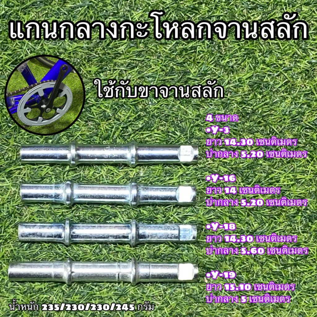 แกนกลางกะโหลกจานสลัก