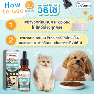 Probiotics สุนัข แมว ป้องกันท้องผูก ถ่ายเหลว ระบบย่อยมีปัญหา ลำไส้แปรปรวน ลดกลิ่นอุจจาระ 60 ml.