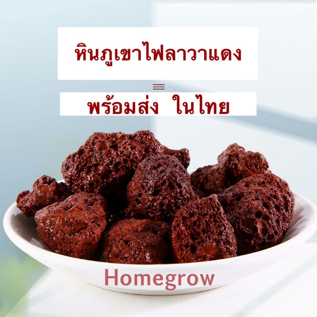 หินภูเขาไฟลาวา หินลาวาแดง หินลาวาแดง (Lava Stone) | ผสมดินปลูก โรยหน้ากระถาง ใส่บ่อปลา