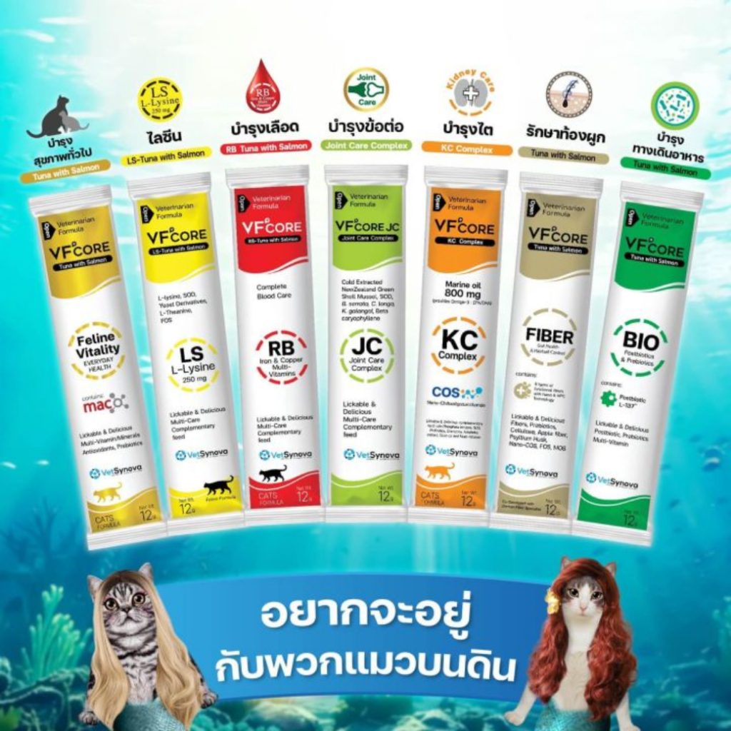 [ 30 ซอง ] VF+CORE BIO อาหารเสริมแมวเลีย ปรับสมดุลทางเดินอาหาร ลดอาการท้องเสีย ลำไส้อักเสบ - รูปที่ 4
