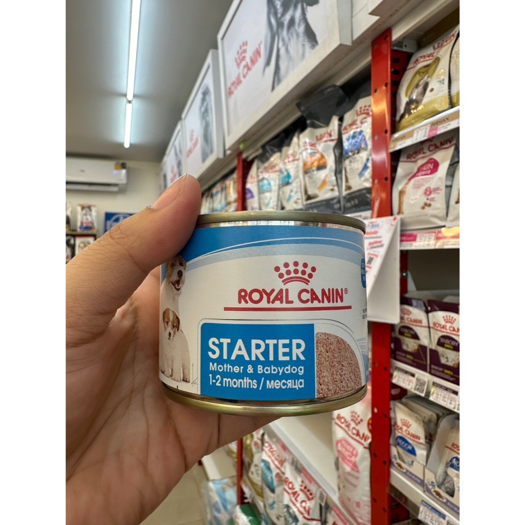 Royal Canin Starter Mousse Puppy 195g.
