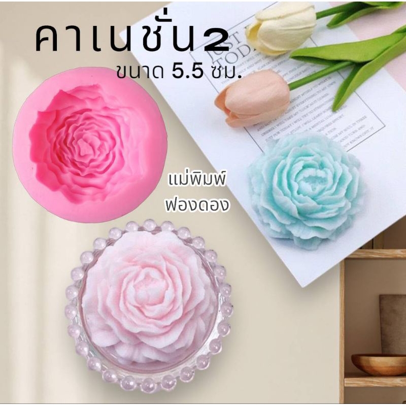 แม่พิมพ์ฟองดอง สำหรับทำขนม อาลัว สัมปันนี ขนมต่างๆ รูป ดอกคาเนชั่น2