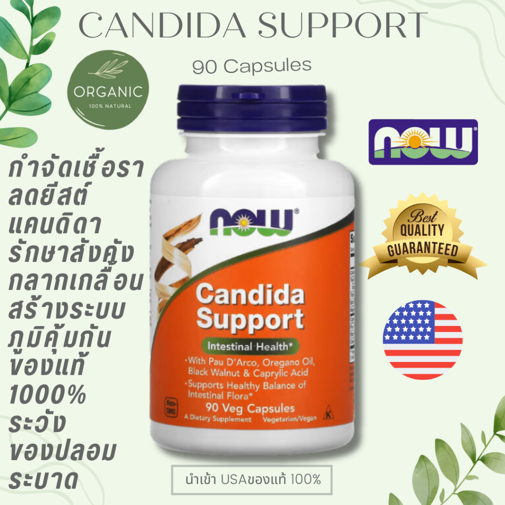 [ล๊อตใหม่] Candida Support 90/180 capsules ต้านเชื้อแคนดิดา กำจัดเชื้อรา สังคัง ขาหนีบ เกลื้อน NOW FOOD EXP 12/26