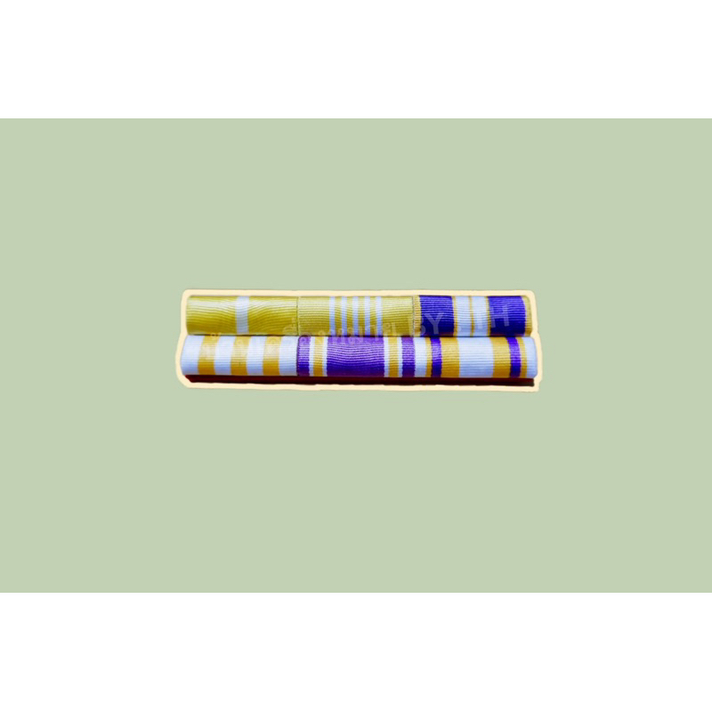 แพรแถบข้าราชการทั่วไป แบบใหม่ล่าสุด - รูปที่ 5