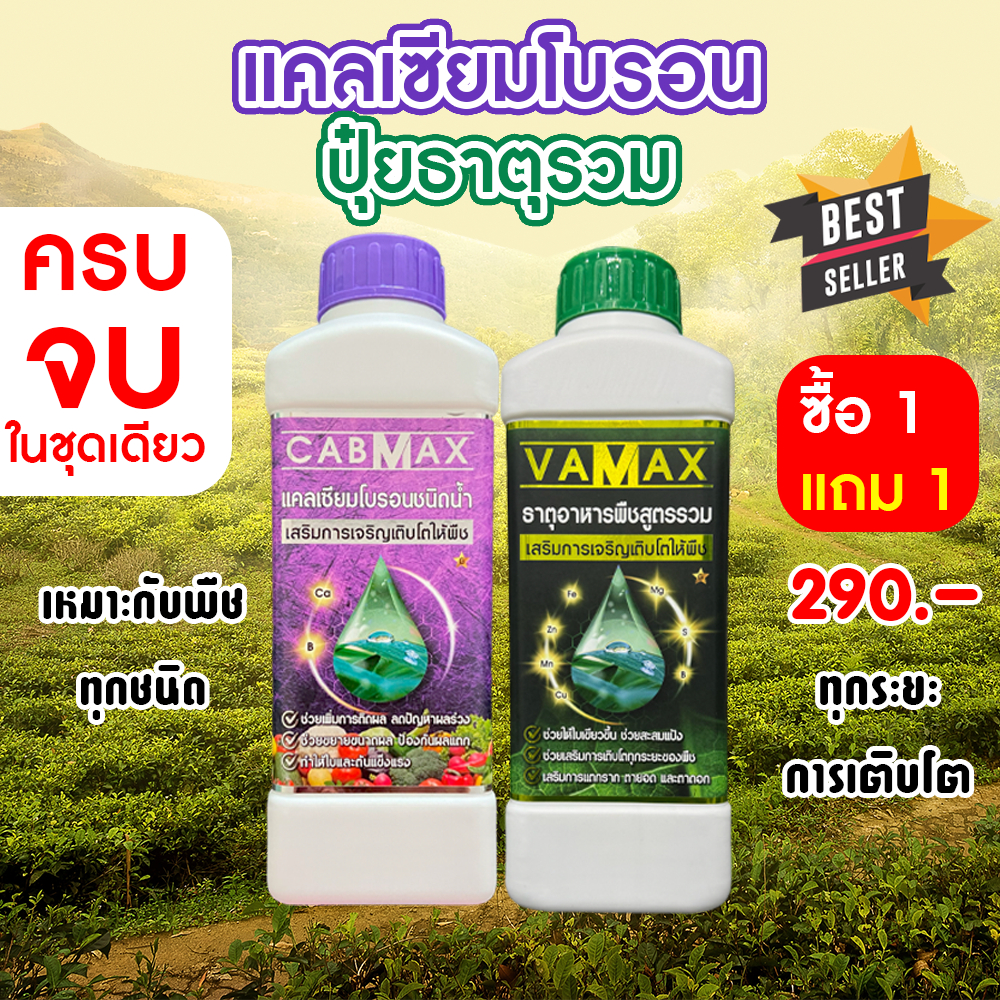 ( 1แถม1 ) CABMAX แคลเซียมและโบรอนเข้มข้น + VAMAX ธาตุอาหารรวมเข้มข้น 2 ลิตร (C1+V1)
