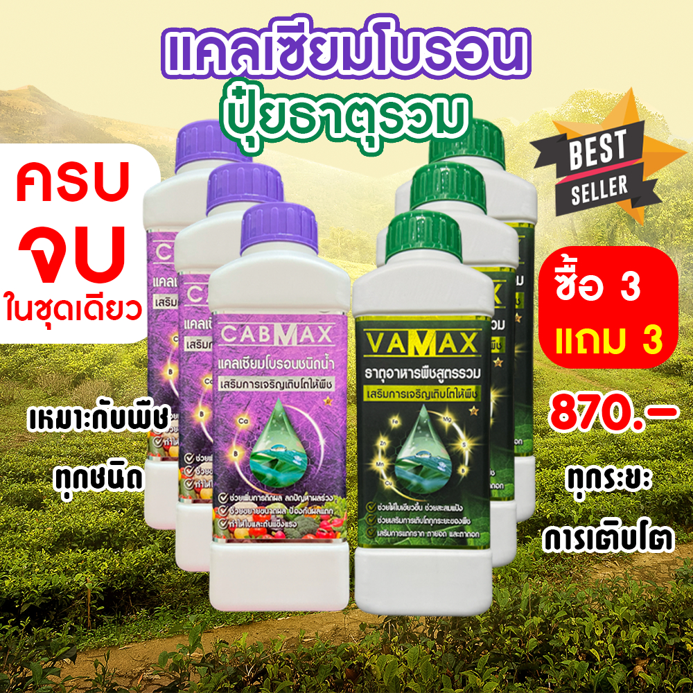 ( 3แถม3 ) CABMAX แคลเซียมและโบรอนเข้มข้น + VAMAX ธาตุอาหารรวมเข้มข้น 6 ลิตร (C3+V3)