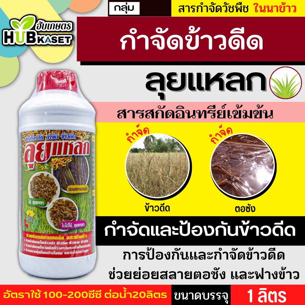 ลุยแหลก 1ลิตร (จุลินทรีย์ย่อยสลาย) สารป้องกัน กำจัดข้าวดีด ช่วยย่อยสลายตอซัง