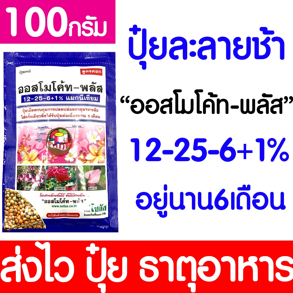 ปุ๋ยออสโมโค้ท (สูตร12-25-6+1%) ออสโมโค้ท ขนาด100กรัม ปุ๋ยออสโมโค้ท ปุ๋ยเม็ดละลายช้า ปล่อยธาตุอาหารต่อเนื่อง outlet