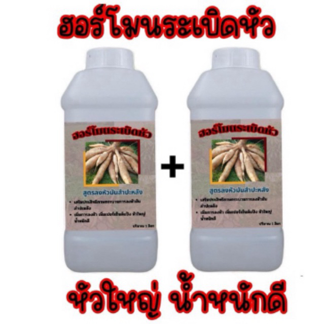 ฮอร์โมนระเบิดหัวมันชุดลงหัวมันน้ำหนักดีแตกไว จำนวน 1 ลิตร แถม 1 ลิตร