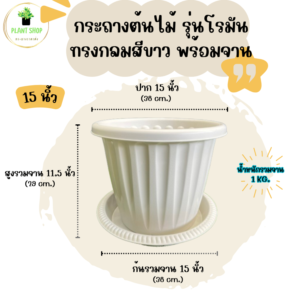 กระถางต้นไม้ รุ่นโรมัน ทรงกลมสีขาว พร้อมจาน ขนาด 15 นิ้ว