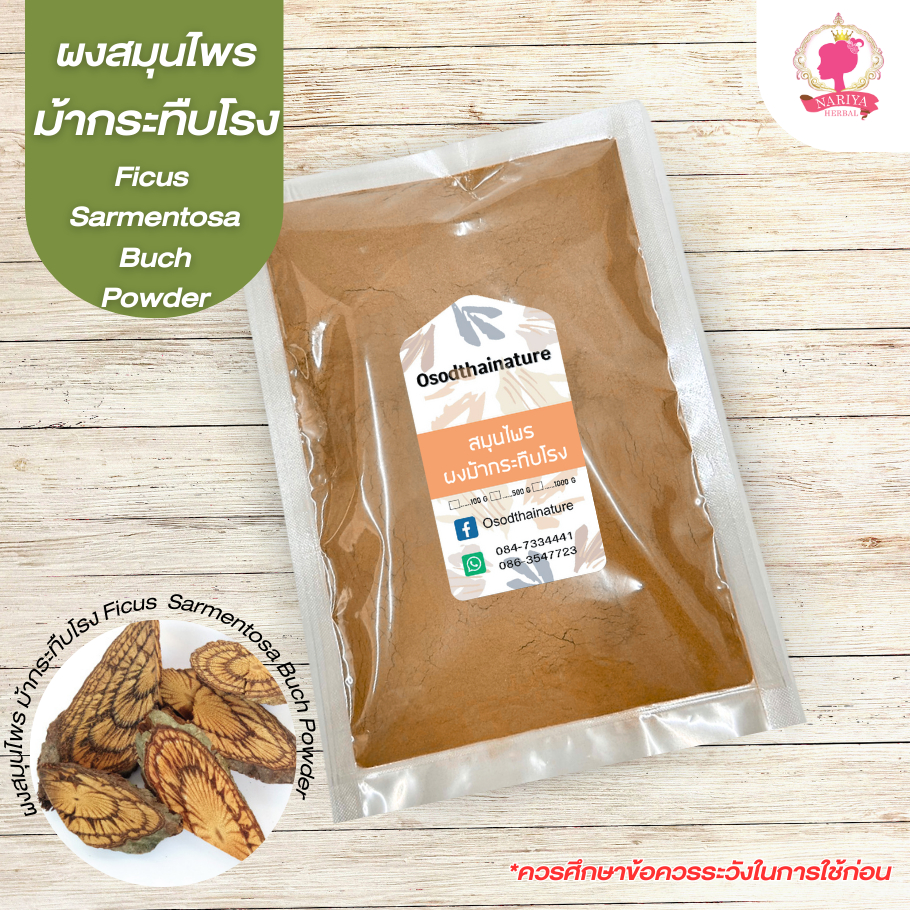 สมุนไพรผงม้ากระทืบโรง Ficus Sarmentosa Buch (ผงสมุนไพร) บดละเอียด ขนาด 100 500 1000 กรัม สมุนไพรแท้ 100%