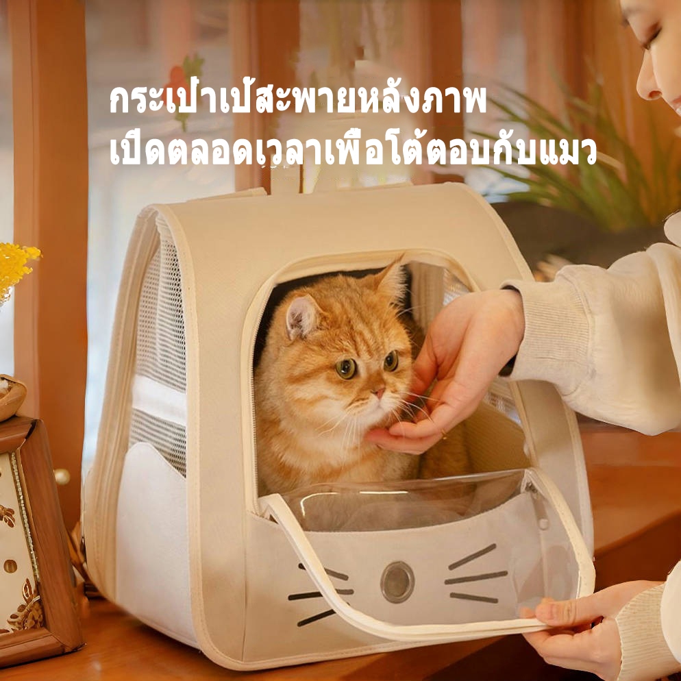 รูปภาพ 3