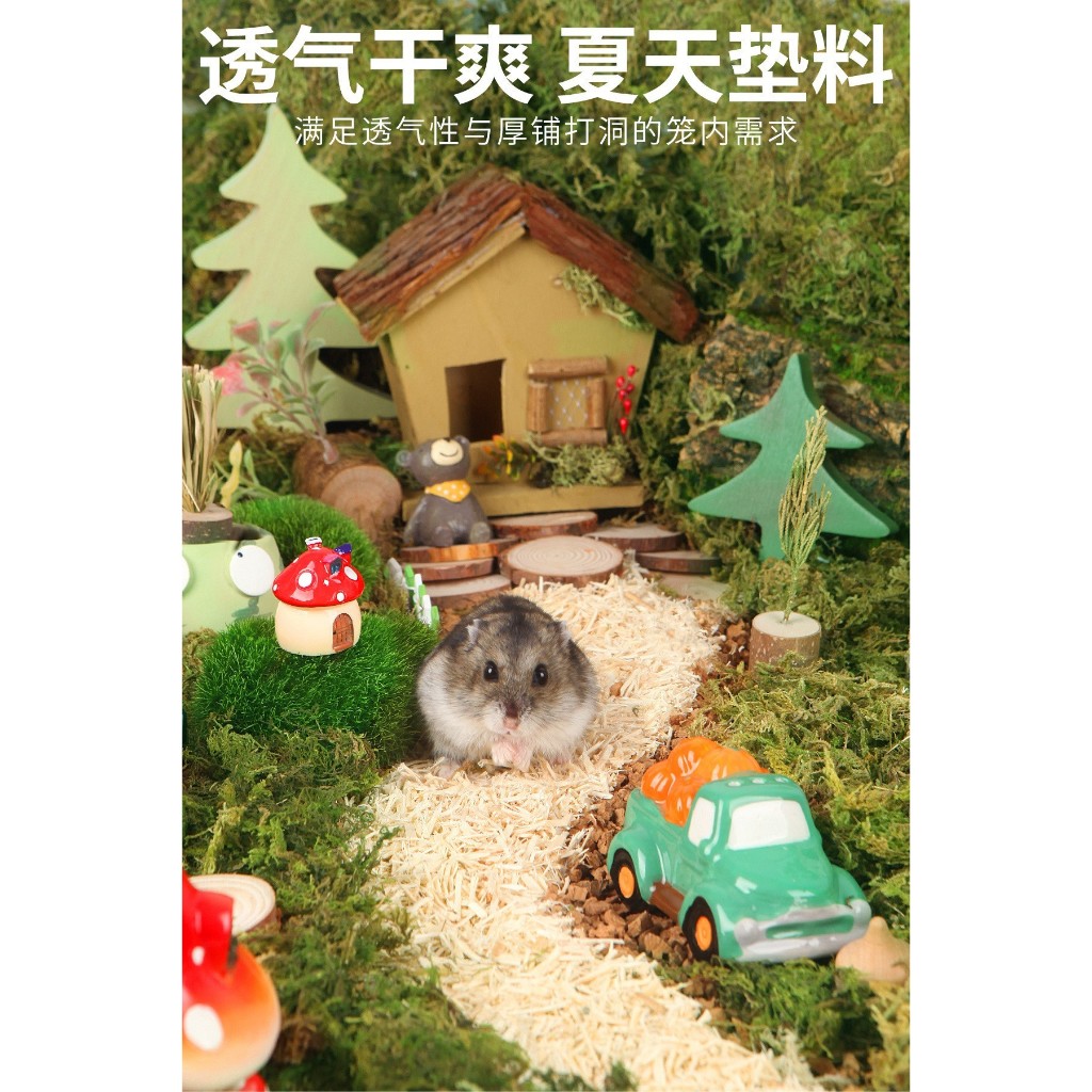 [Hamsterthailand] หญ้า มอส แห้ง Forest Moss ยี่ห้อ Niteangel ตกแต่งกรง แฮมสเตอร์ กรงแฮมสเตอร์ แฟตเทล ราคา ถูกที่สุด ดีลบีเคเค แกลเลอรีภาพที่ 3