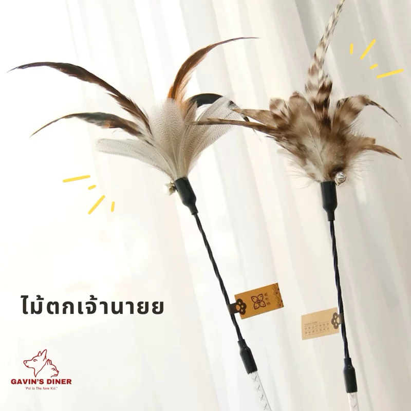 [🪶พร้อมส่ง❣️] ไม้ตกแมวขนนก ไม้ล่อแมว ของเล่นแมว มี 2 แบบให้เลือก เล่นแบบสุดเพลินน