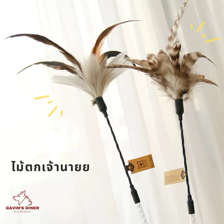 [🪶พร้อมส่ง❣️] ไม้ตกแมวขนนก ไม้ล่อแมว ของเล่นแมว มี 2 แบบให้เลือก เล่นแบบสุดเพลินน