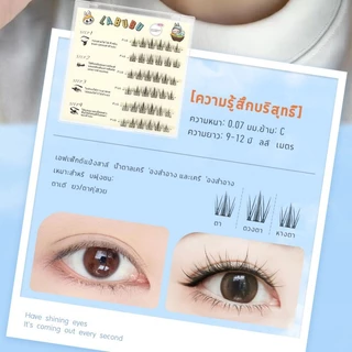 【จัดส่งจากประเทศไทย】ขนตาปลอม 3D แบบช่อ มีกาวในตัว แบบสามชิ้น ต่อขนตาธรรมชาติ ตาโต ติดทน เหมาะสำหรับมือใหม่ เทศกาลสาดน้ำ