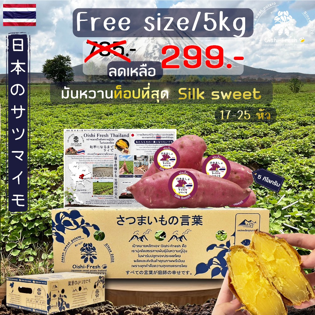 ‼️ถูกที่สุด‼️ ยกลัง5 กิโลกรัม มันหวานญี่ปุ่นสายพันธุ์ Silk sweet  ปลูกไทย เนื้อเหลือง หอมหวาน อร่อย .สินค้าเคลมได้