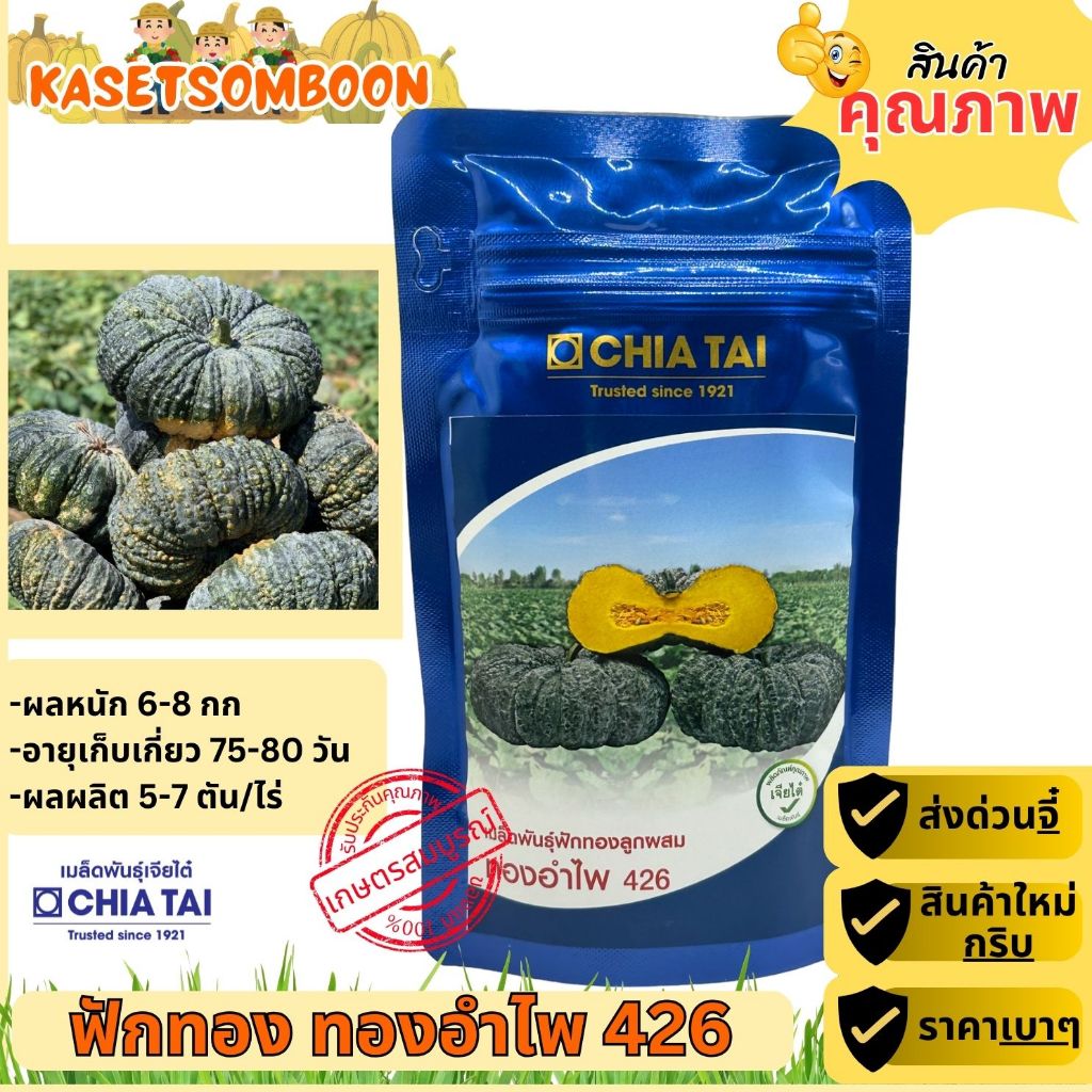 ทองอำไพ426 เมล็ดพันธุ์ฟักทอง ตราเจียไต๋ 100 ก.