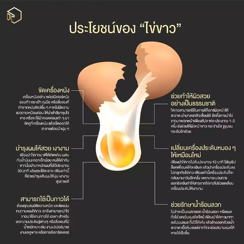 Albumen ผงโปรตีนไข่ขาว 30g 60g และ 400g thumbnail 4