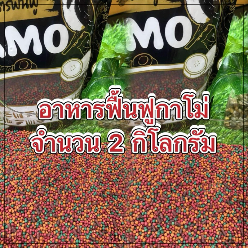 อาหารนกสูตรฟื้นฟูกาโม่ จำนวน 2 กิโลกรัม