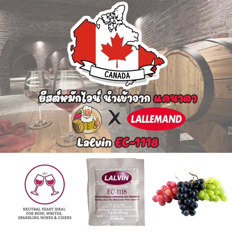 ยีสต์หมักไวน์ Lalvin EC-1118 Wine yeast ขนาด 5 กรัม #ทำไวน์
