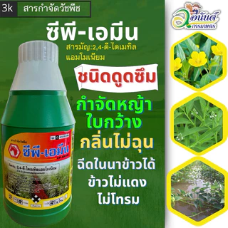 ซีพีเอมีน 2,4-ดี-ไดเมทิลแอมโมเนียม บริษัท ครอปโพรเทคชั่น