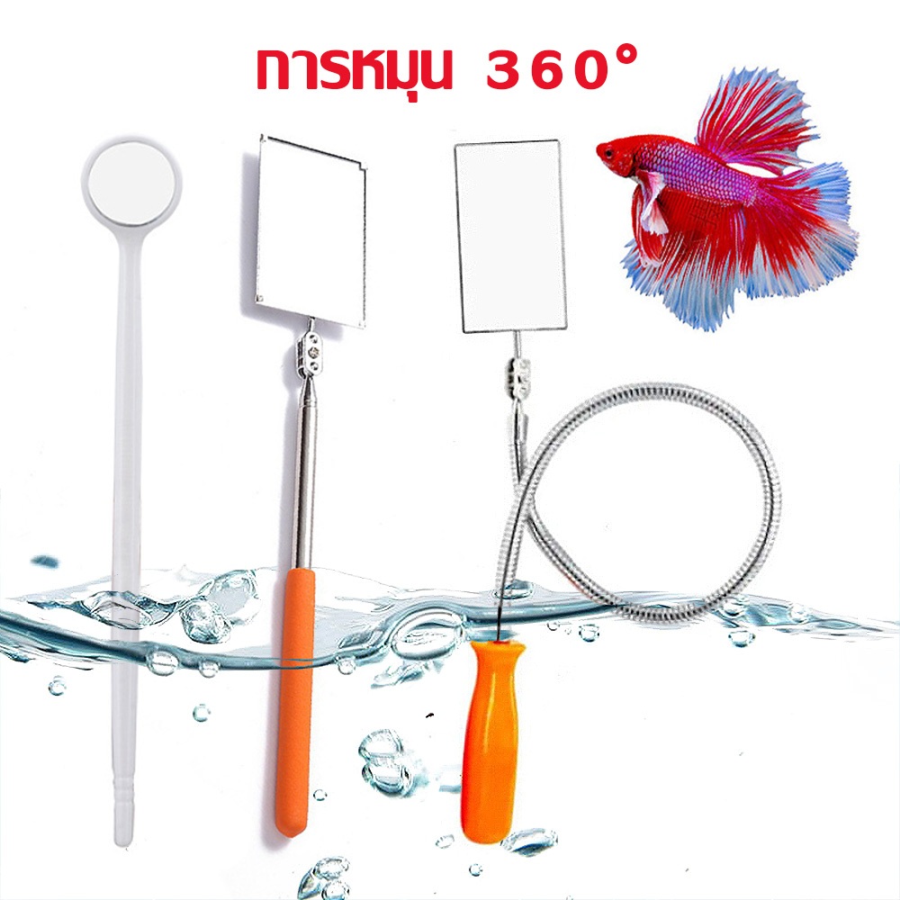 กระจกล่อปลา การหมุน 360° กระจกฝึกปลา สำหรับปลากัด กระจกปลากัด ยืดพับได้ มีหลายขนาดให้เลือก