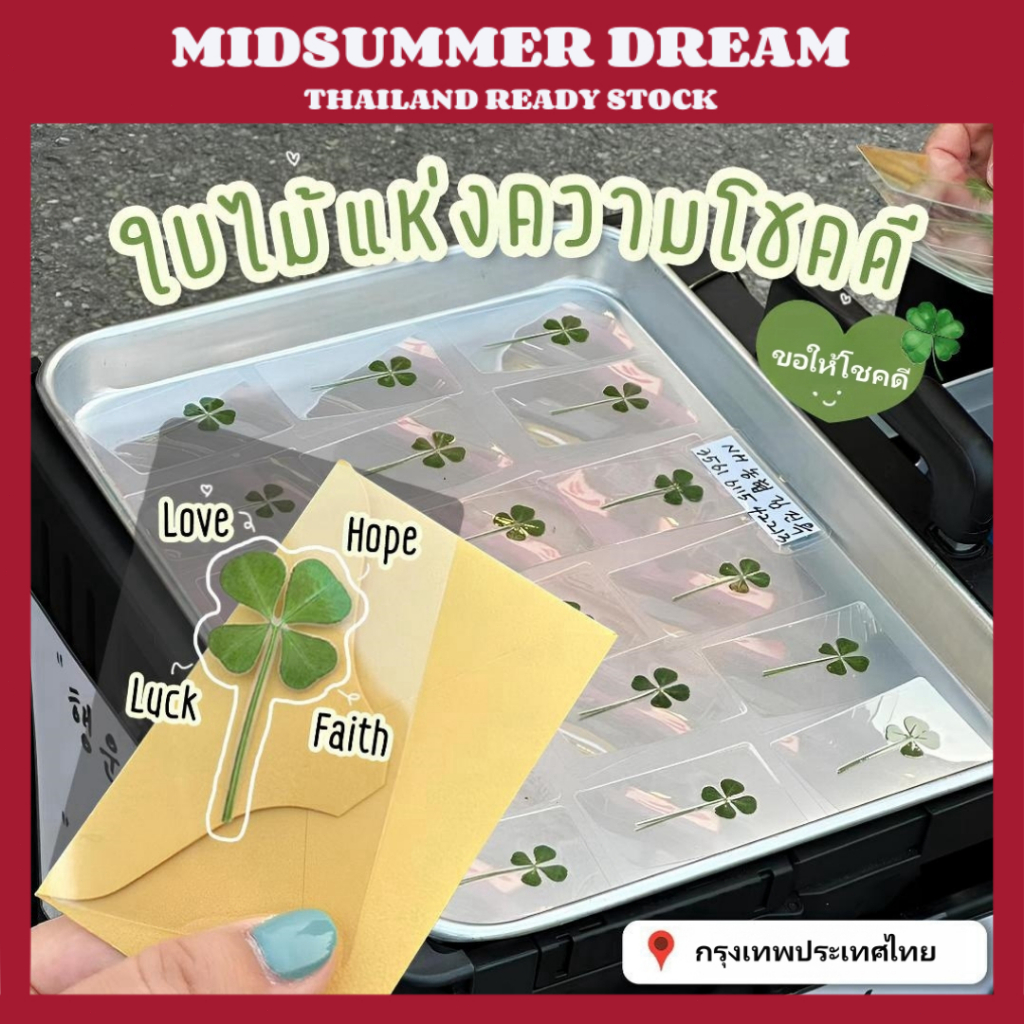 [พร้อมส่ง]ใบโคลเวอร์เคลือบการ์ด clover card