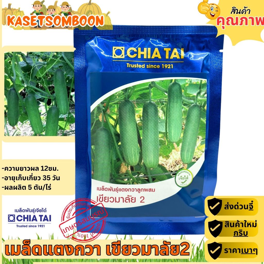 เมล็ดแตงกวาเขียวมาลัย2 เมล็ดพันธุ์ 50 ก. ตราเจียไต๋