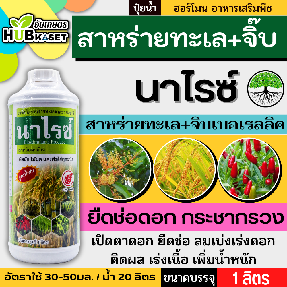 นาไรซ์ 1ลิตร (อะมิโน+สาหร่าย+จิ๊บ) ลมเบ่ง เร่งดอก ดึงช่อ