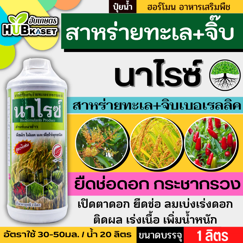 นาไรซ์ 1ลิตร (อะมิโน+สาหร่าย+จิ๊บ) ลมเบ่ง เร่งดอก ดึงช่อ