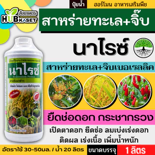 นาไรซ์ 1ลิตร (อะมิโน+สาหร่าย+จิ๊บ) ลมเบ่ง เร่งดอก ดึงช่อ