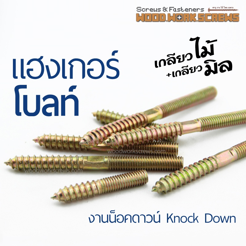 10 ตัว แฮงเกอร์โบลท์ อุปกรณ์น็อคดาวน์ ต่อขาโต๊ะ เชื่อมชิ้นงานโลหะเข้ากับไม้ แขวนของ ยึดเหล็กกับไม้ เกลียวไม้ชนเกลียวมิล – โปรปัง