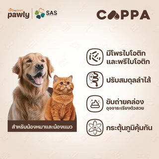 Pawly Cappa (สำหรับแมว) ดูแลลำไส้ เสริมภูมิ ขับถ่ายดี ลดกลิ่นมูล - [1กระปุก - 30แคปซูล]
