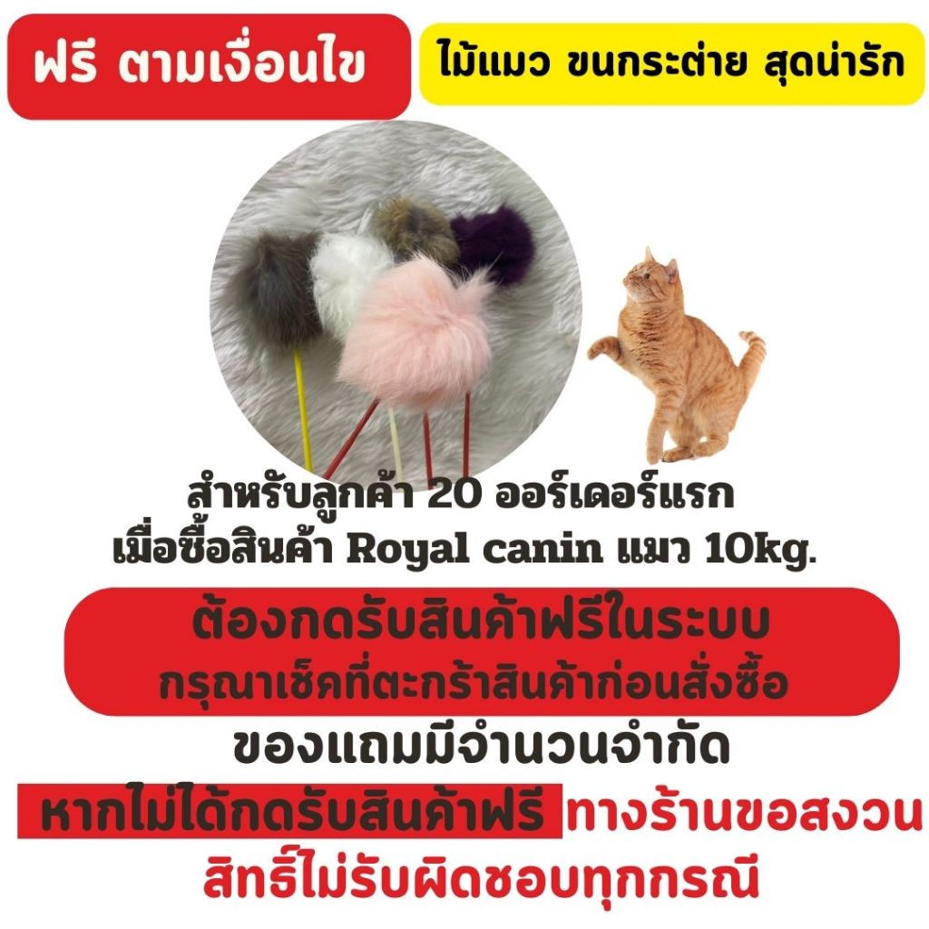 อ่านเงื่อนไขแถม ไม้แมวขนกระต่าย สุดน่ารัก คละสี 1 ชิ้น (เลือกสีไม่ได้) แถมฟรี ตามเงี่อนไข