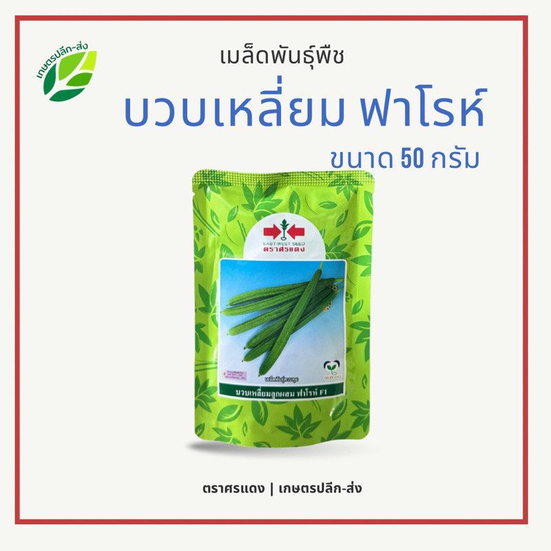 บวบเหลี่ยม ฟาโรห์ | ขนาด 50 กรัม | บวบเหลี่ยมลูกผสม ปลตรงยาว ทนทานไวรัส ขนาดผลสม่ำเสมอ