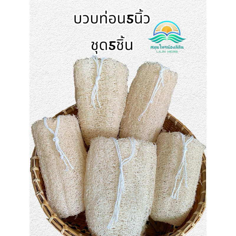 บวบท่อน 4-5นิ้ว พร้อมเชือกร้อย ชุดสุดคุ้ม✅ ใยบวบขัดผิว อาบน้ำ ถูตัว