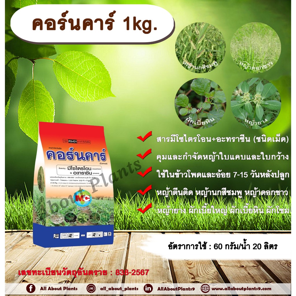 คอร์นคาร์ 1kg. มีโซไตรโอน + อะทราซีน สารคุมวัชพืช สารกำจัดวัชพืช ใบแคบ ใบกว้างหญ้าตีนติด หญ้าตีนกา หญ้านกสีชมพู หญ้าดอก