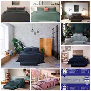 Satin Plus ชุดเครื่องนอน 3.5 5 6 ฟุต นวม 60x80 90x100 สีพื้น…