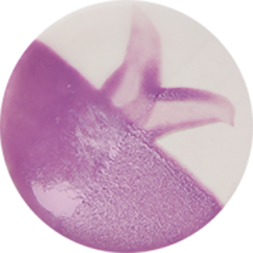 Chrysanthos Cafe Color H "Wisley Pink" (CST-CC089H-60)