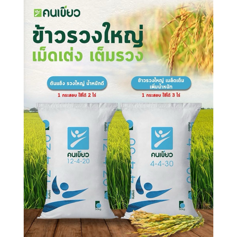 ปุ๋ยตราคนเขียว สูตรใส่นาข้าว ยางพารา พืชลงหัว ขนาด 50 กิโลกรัม **สั่งได้ออเดอร์ละ 1 กระสอบ!