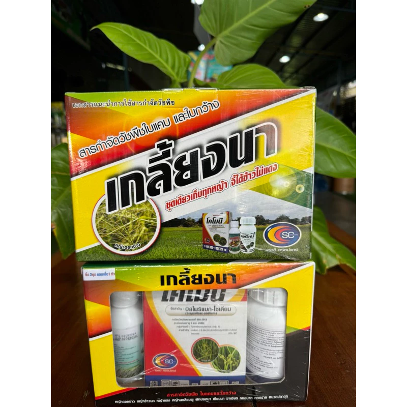 เกลี้ยงนา 🍀ชุดเก็บหญ้าในนาข้าว ช่วงอายุ15-30วัน