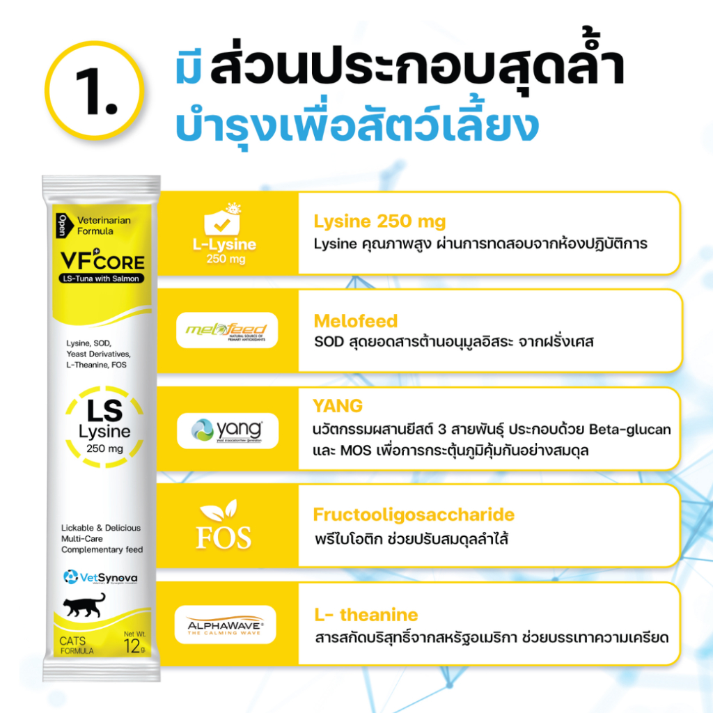 รูปภาพ 4