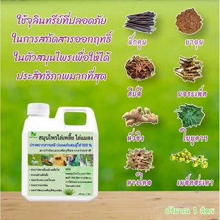 สมุนไพรไล่เพลี้ย ไล่แมลง สารสกัดธรรมชาติ ปลอดภัยต่อผู้ใช้ 100 %