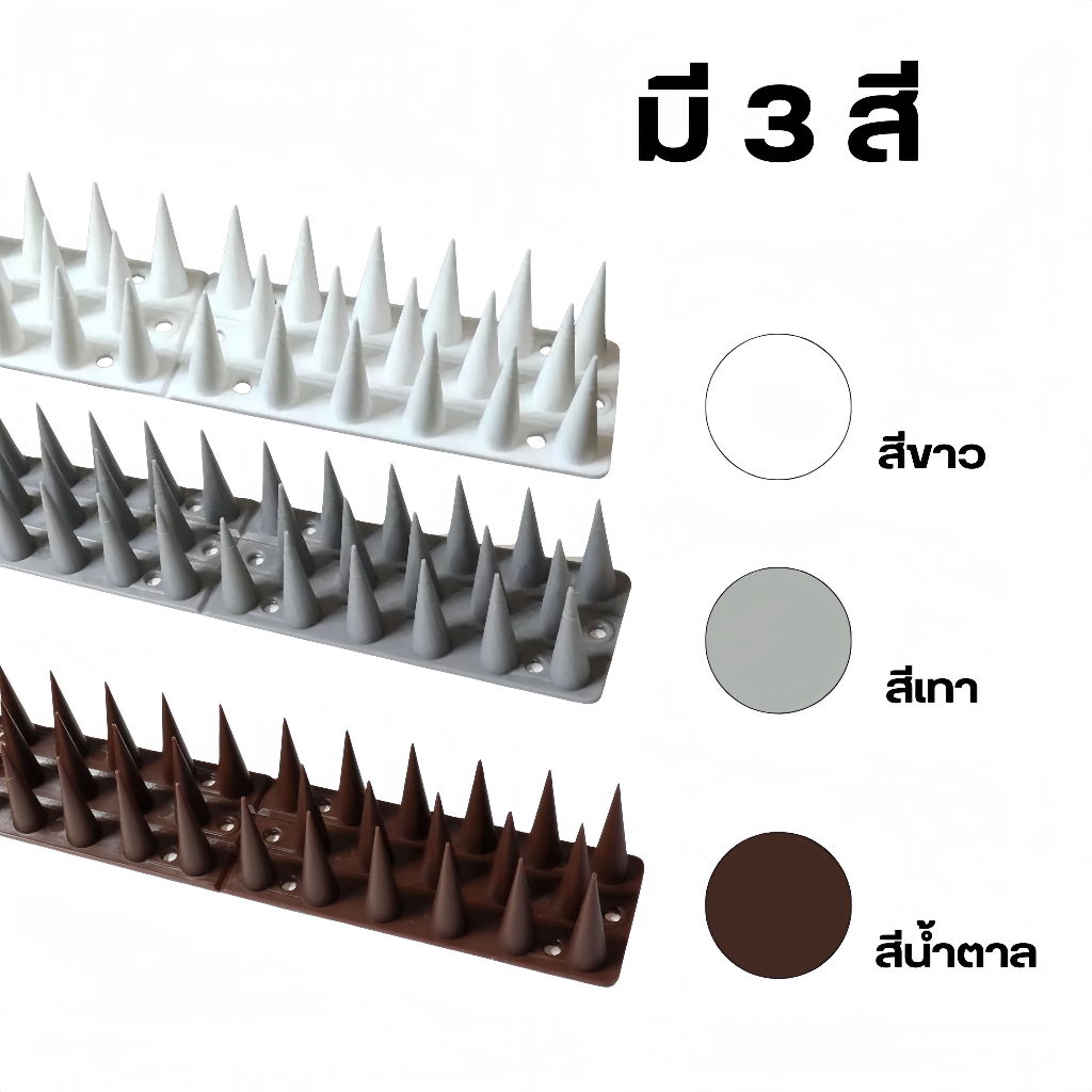 รูปภาพ 9